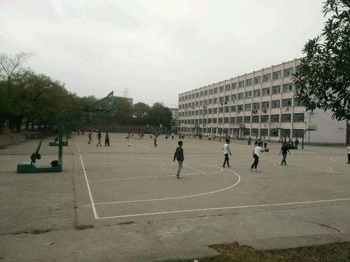 清江中学爆料事件视频,视频揭露惊人真相 第1张 清江中学爆料事件视频,视频揭露惊人真相 第1张