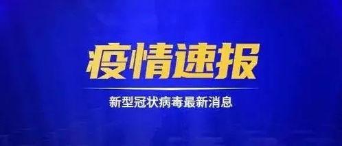 长春拍卖爆料事件最新,揭秘幕后黑幕,真相即将浮出水面 第3张 长春拍卖爆料事件最新,揭秘幕后黑幕,真相即将浮出水面 第3张